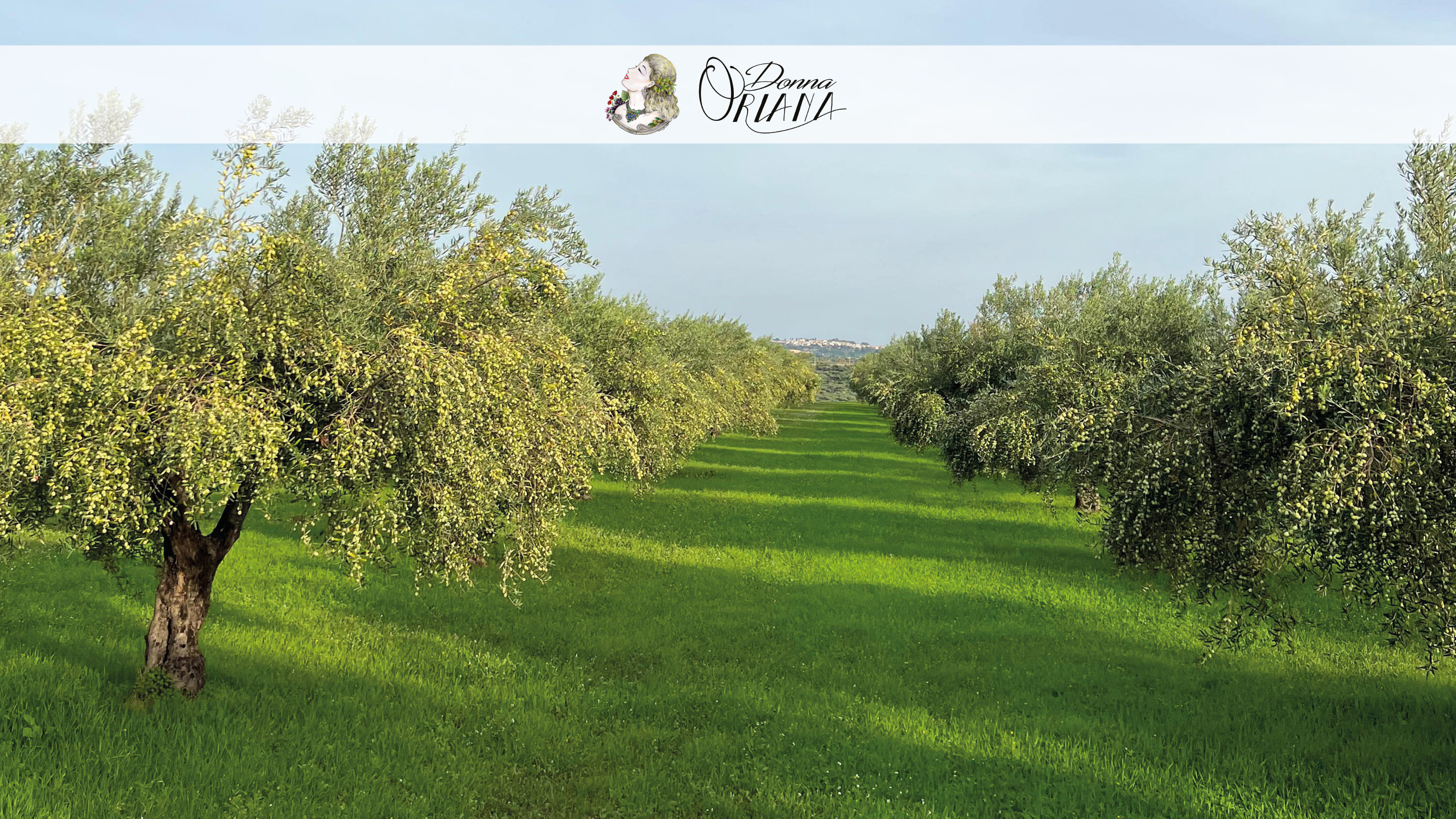 Fotogallery degli uliveti dell'Azienda Agricola Grisafi Salvatore - Donna Oriana, con splendide vedute panoramiche di Caltabellotta