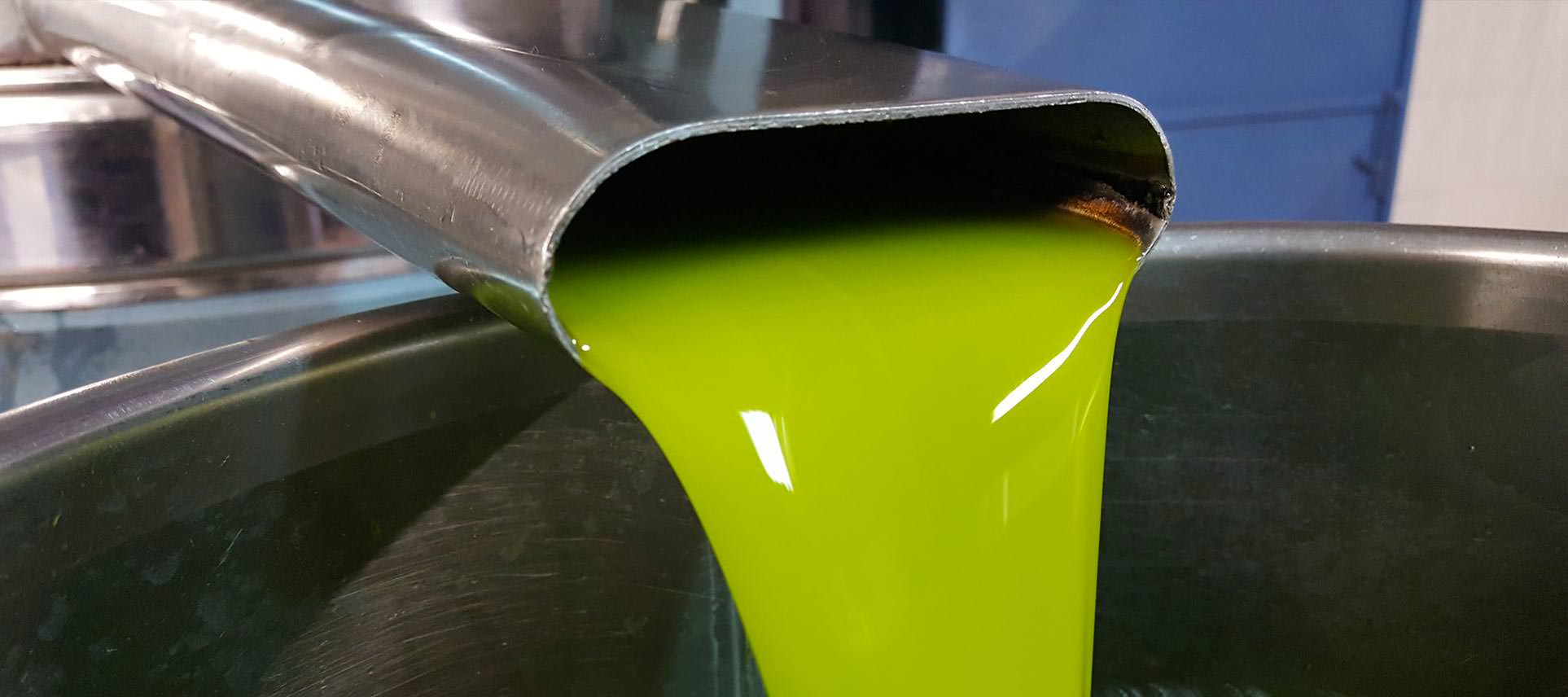 Olio EVO BIo - Donna Oriana - Azienda Agricola Grisafi Salvatore - Caltabellotta